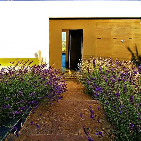 亚历山大拉纳度假屋 Pallejá